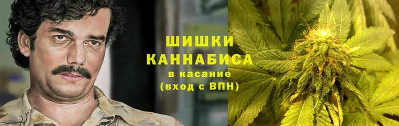 Бошки Шишки OG Kush  Волгоград 